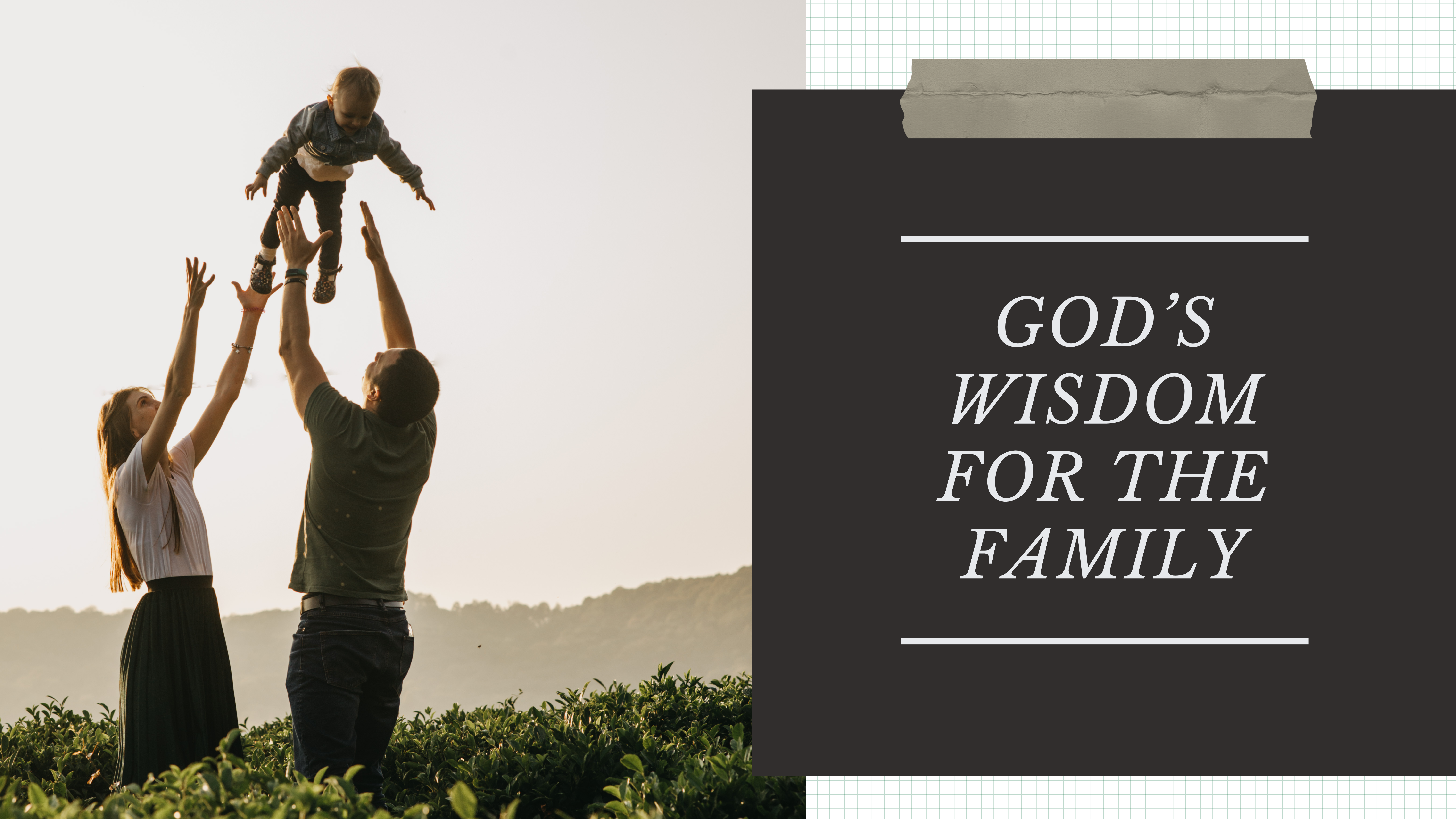 Wisdom For The Family Icon